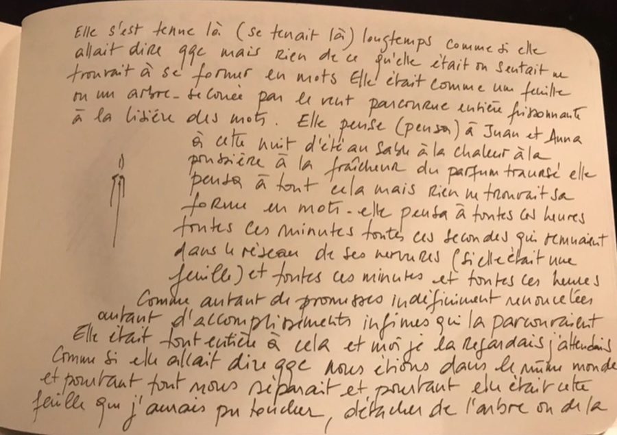 Elle_s_est_tenue_la_Carnet_1