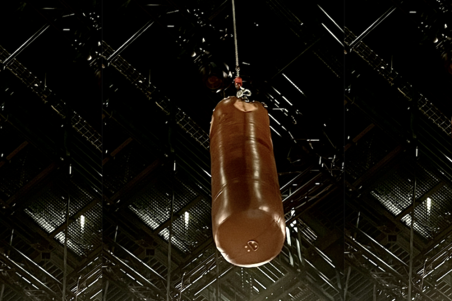 La-Victoire-de-Karima-Philharmonie-de-Courson-Baudo-Sac