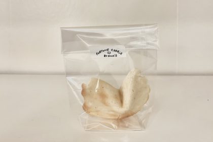 de_Courson_Fortune_Cookie_KOMET_Non-Etoile