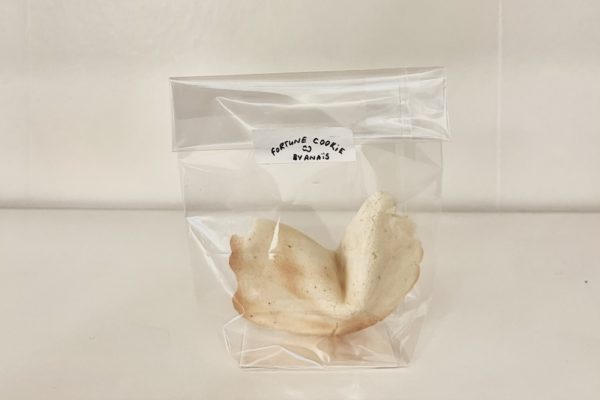 de_Courson_Fortune_Cookie_KOMET_Non-Etoile